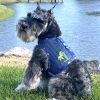 Cool Mesh Dog Harness with Leash